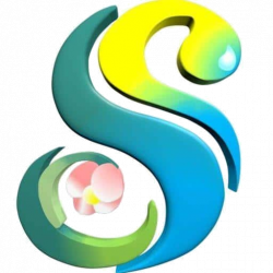 Logo_transparent Logo_transparent
